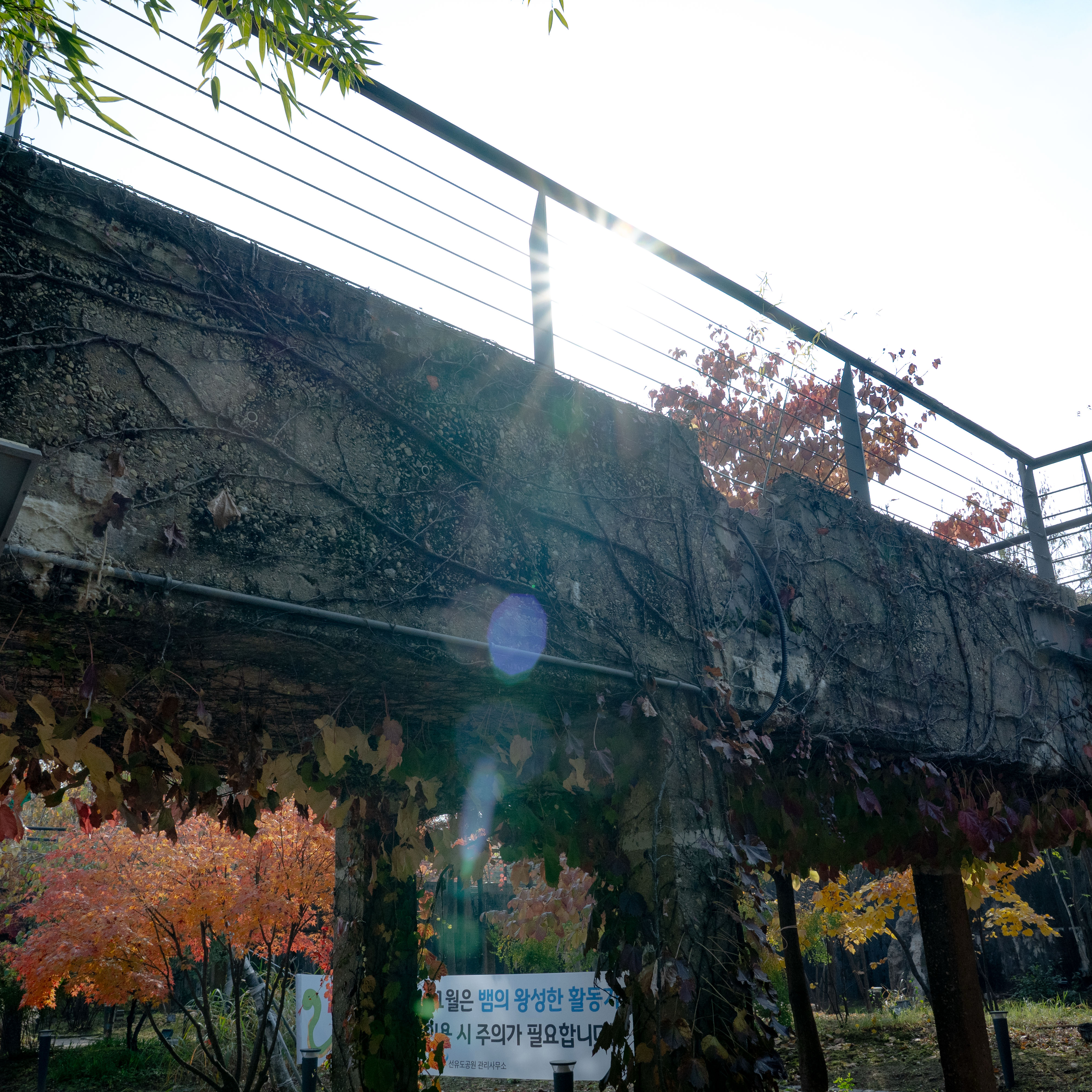 金宣虎的最新照片