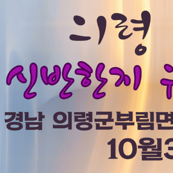 A moment captured by a fan of YOYOMI