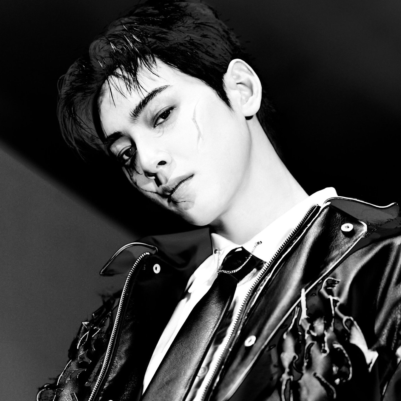 A moment captured by a fan of Cha Eunwoo