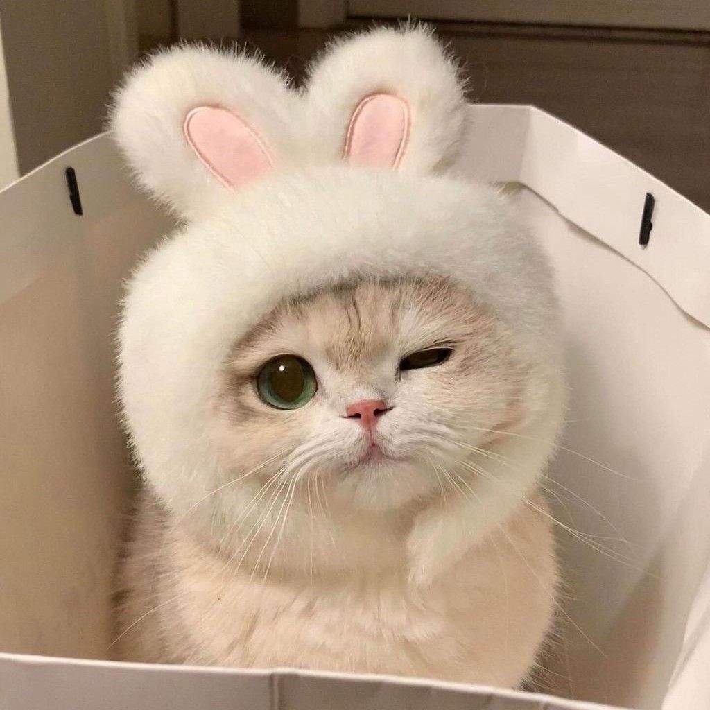 都暻秀 (D.O.)的最新照片