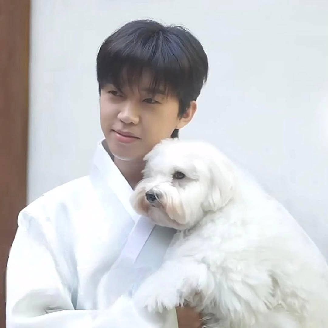 Momen yang diabadikan oleh penggemar Lim Youngwoong