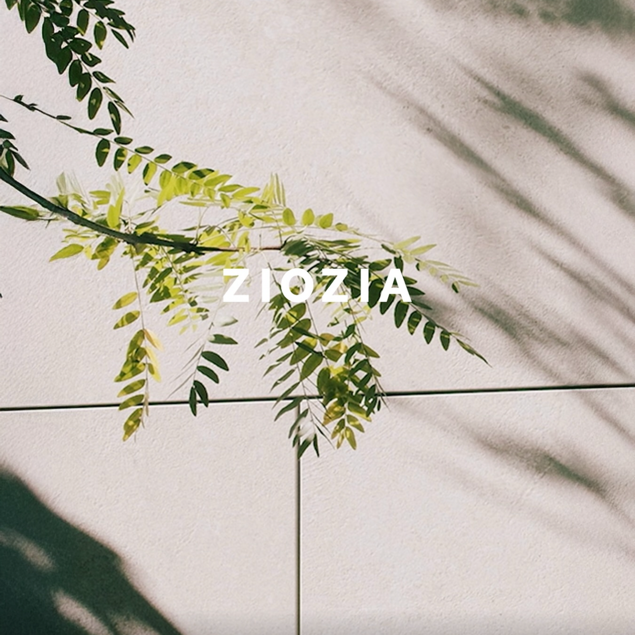 Behind-the-scenes cut of Yang Sejong