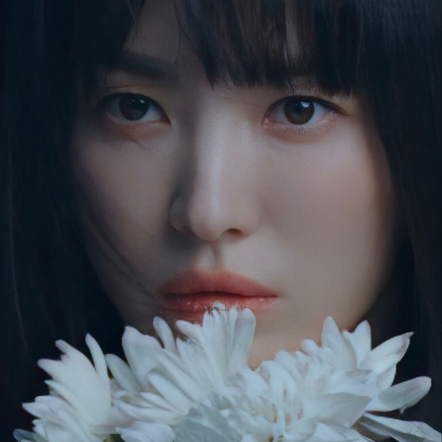 ソン・ヘギョの最新写真