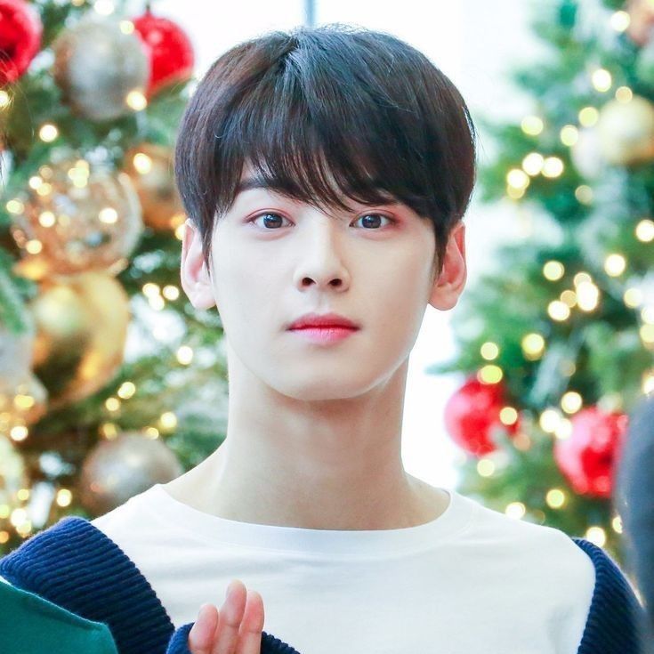 Behind-the-scenes cut of Cha Eunwoo