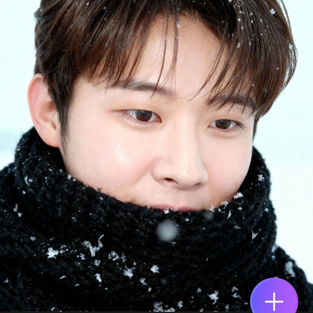 ジヌクの最近の活動ショット