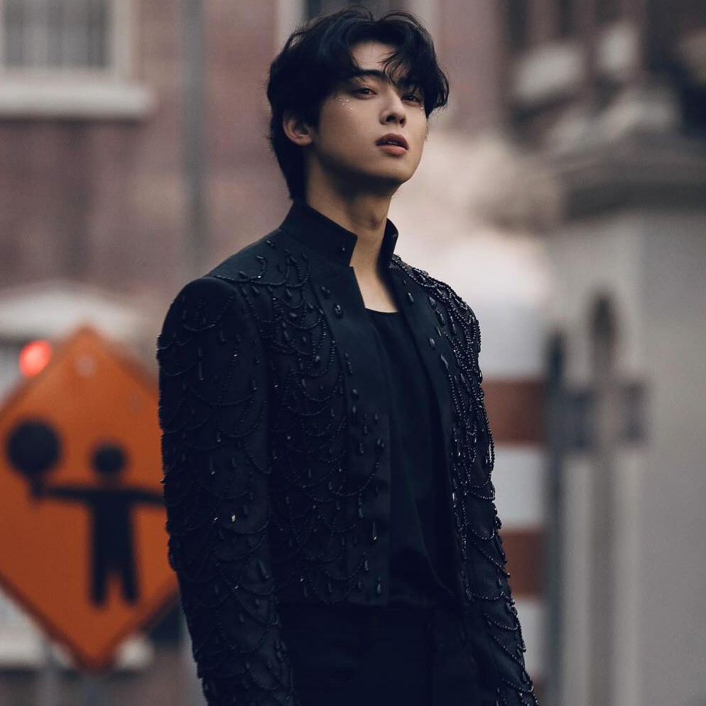 ファンが撮影したチャ・ウヌの瞬間