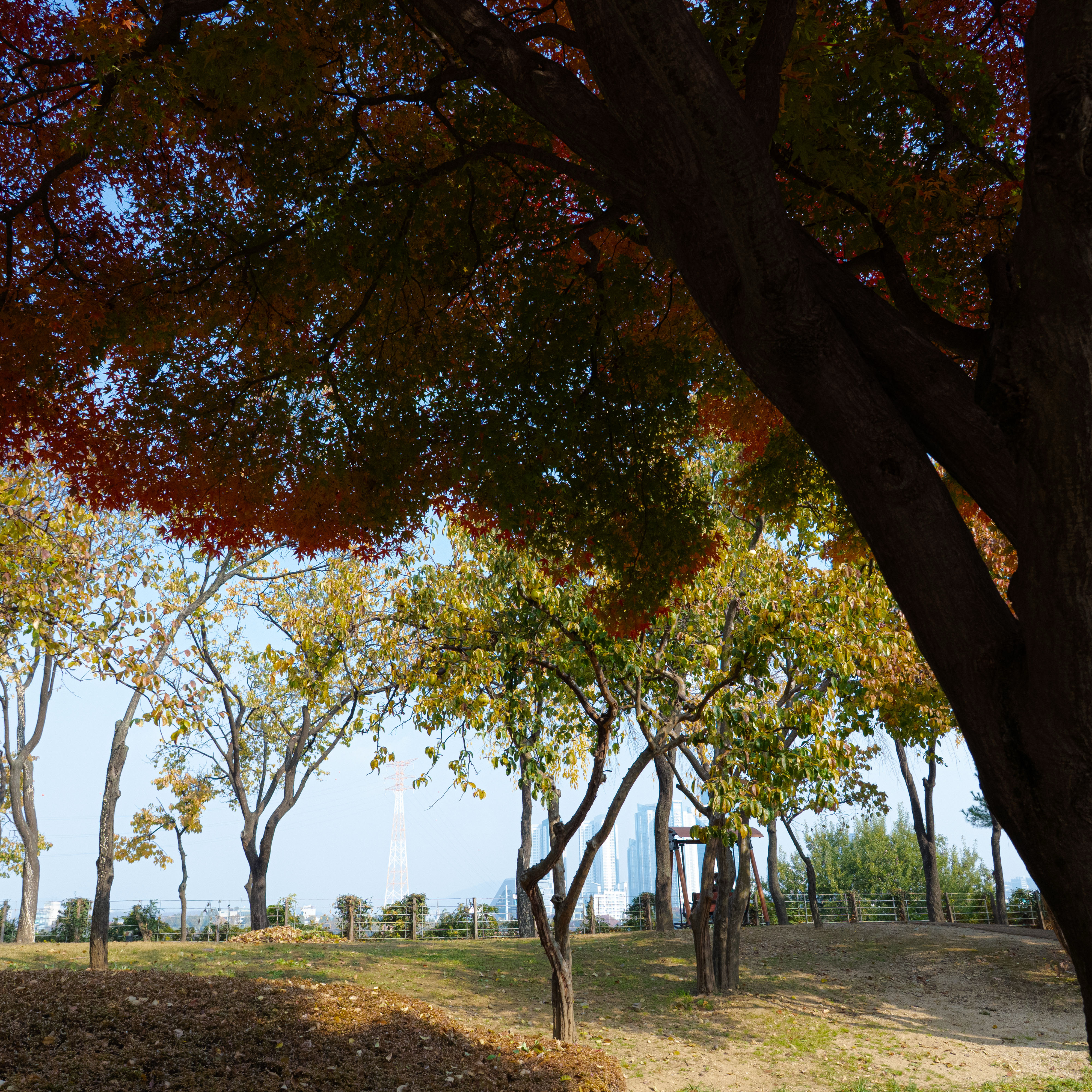 김선호 최근 활동샷