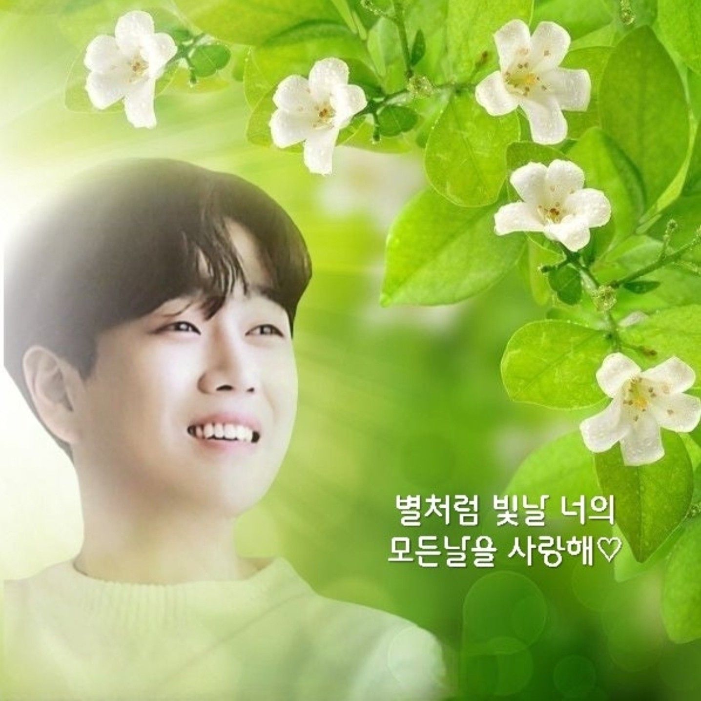 Behind-the-scenes cut of Hwang Youngwoong