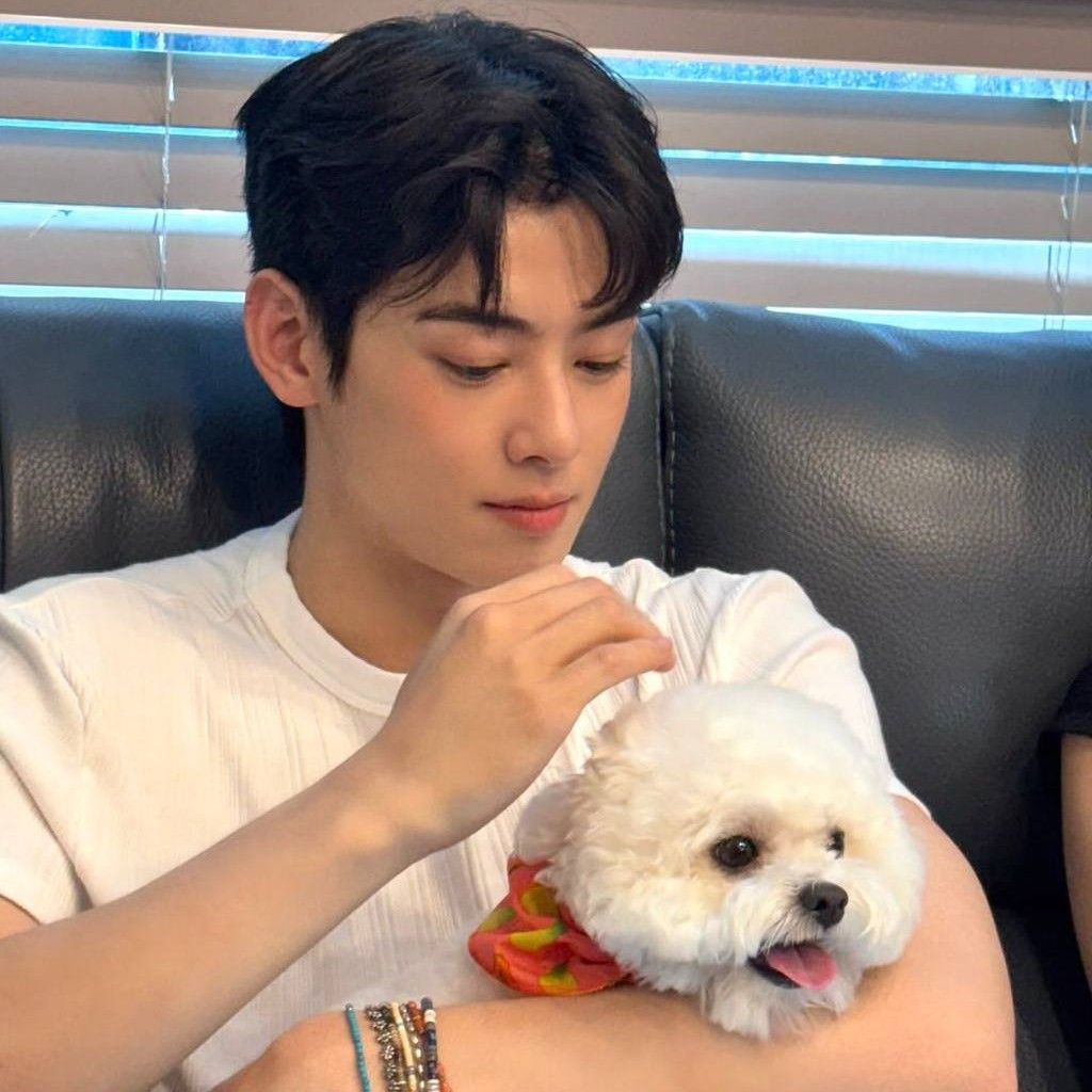 车银优的近期活动照