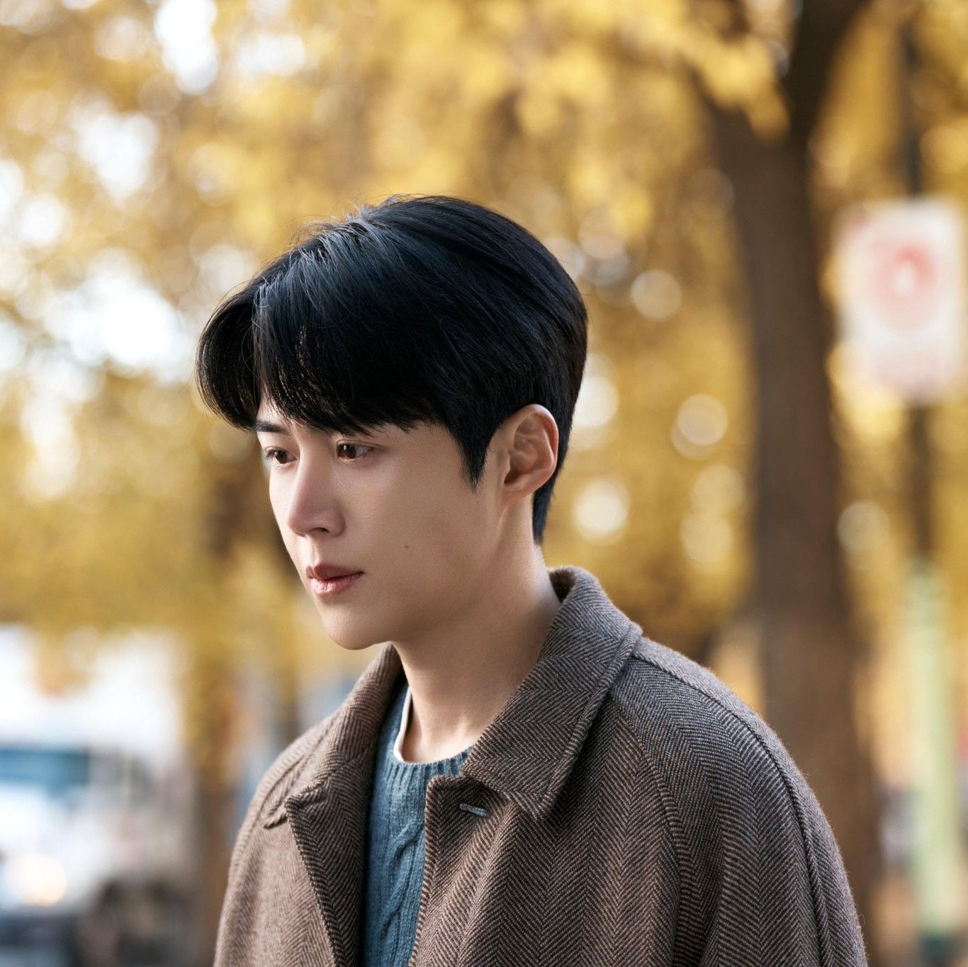 Foto kegiatan terbaru dari Kim Seonho