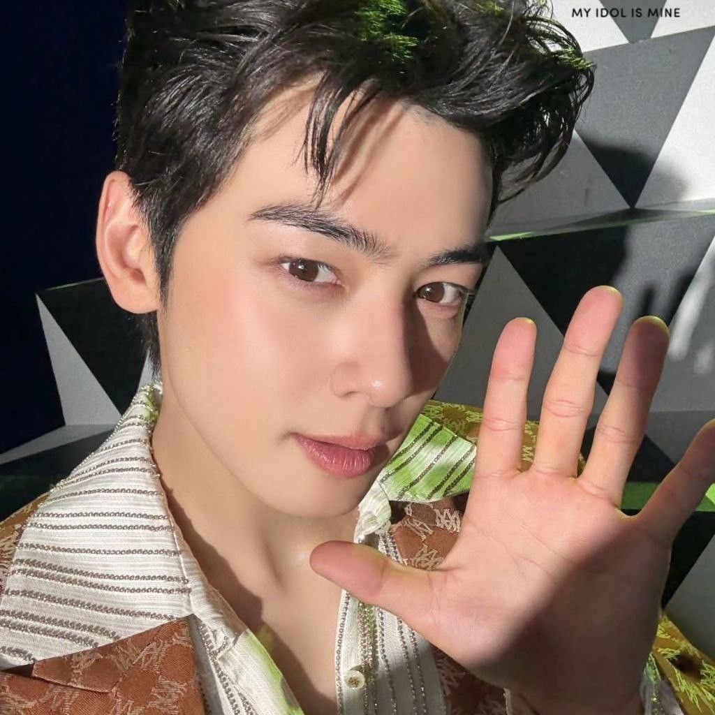 Behind-the-scenes cut of Cha Eunwoo