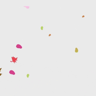 玄彬的近期活動照