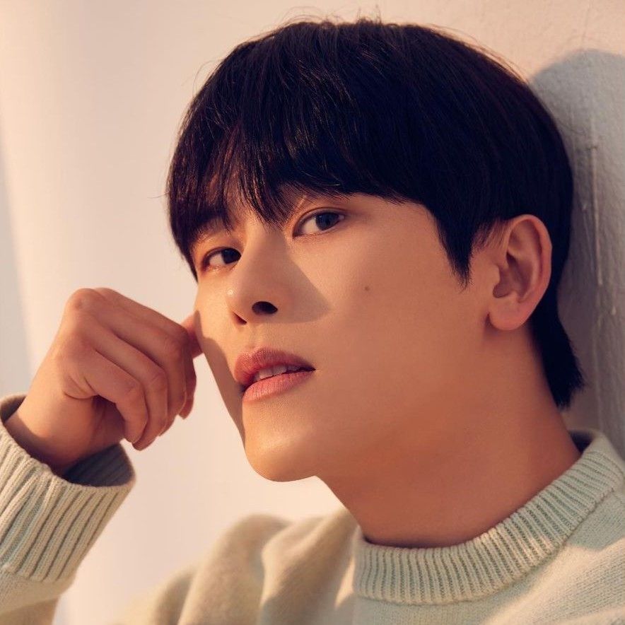 Recent activity shot of Hoya