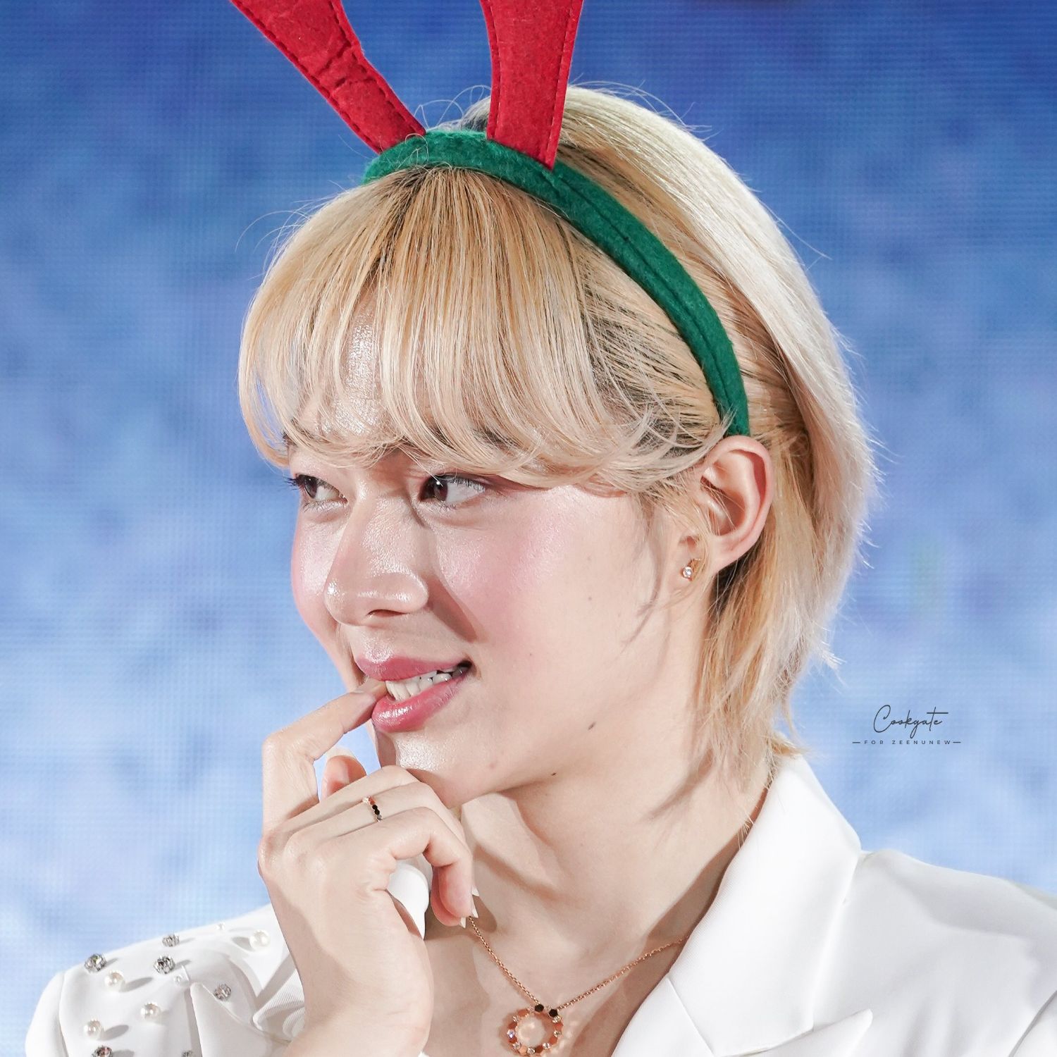 Recent activity shot of NuNew