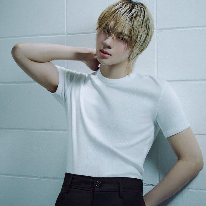 Recent activity shot of NuNew