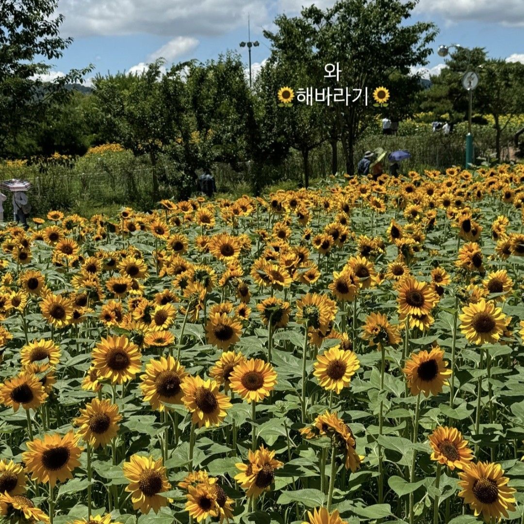 Latest photo of Kang Hyeyeon