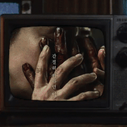 宋智孝的近期活動照