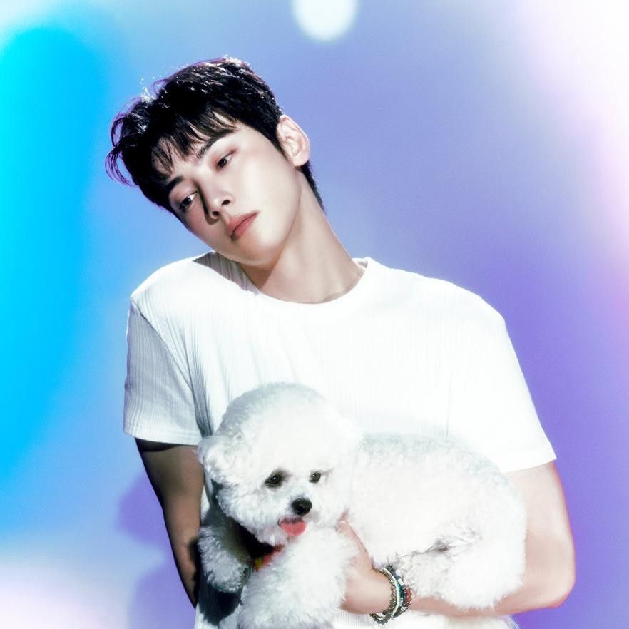 車銀優的近期活動照