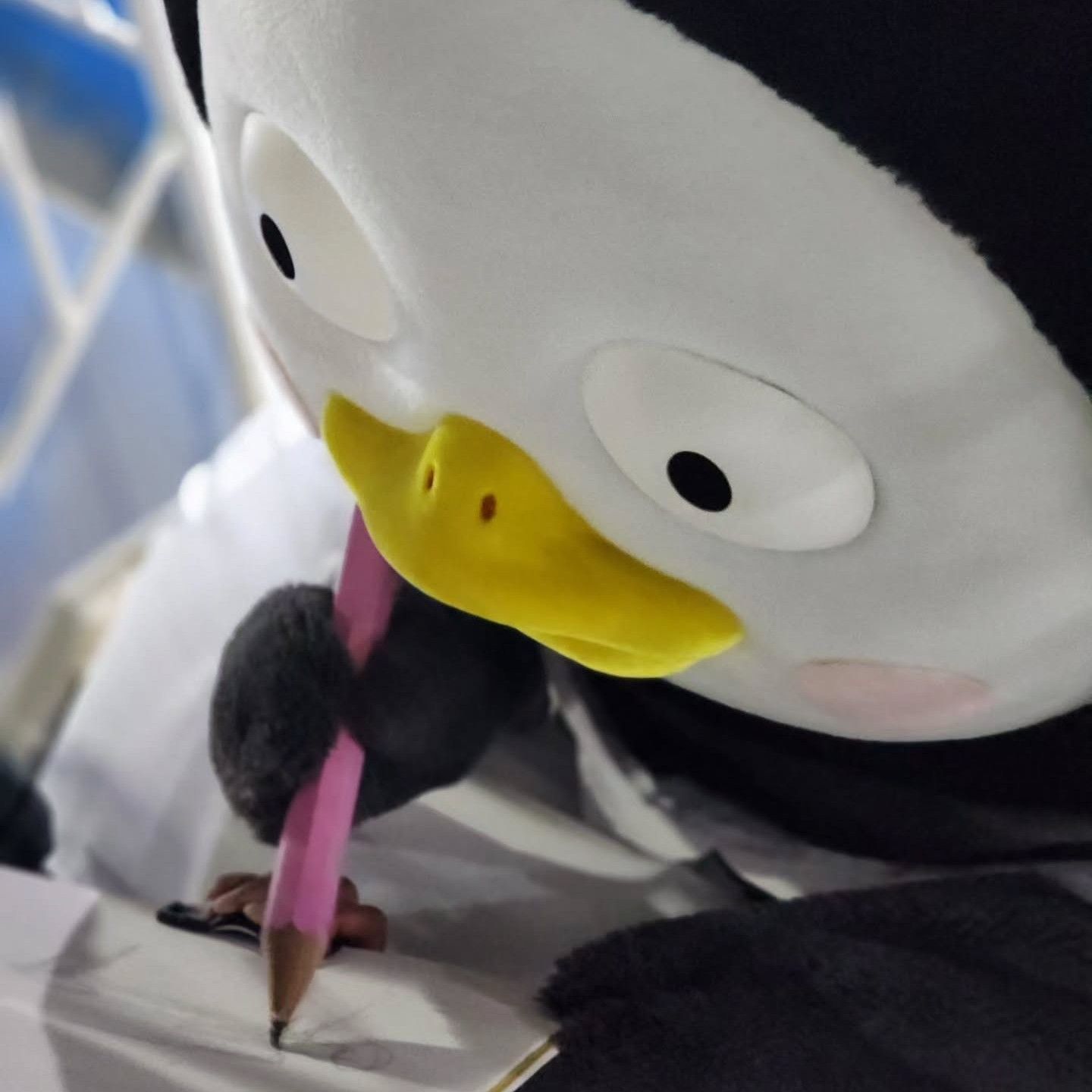 펭수 팬이 찍은 순간