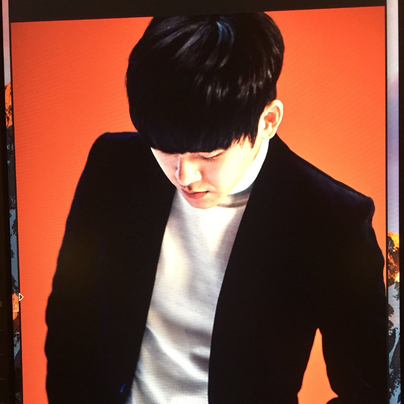 Latest photo of Hoya