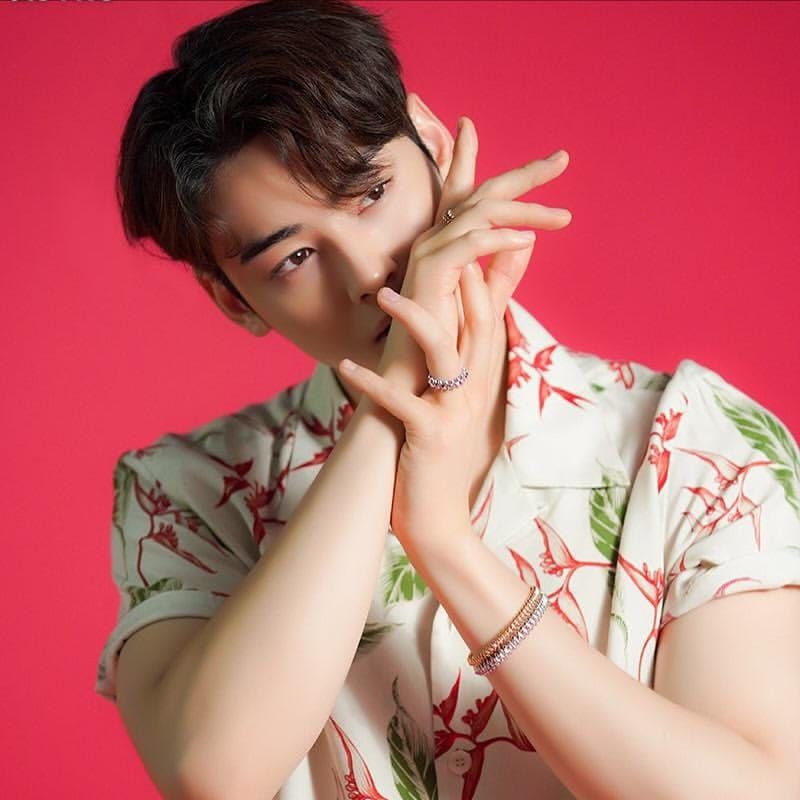 Recent activity shot of Cha Eunwoo