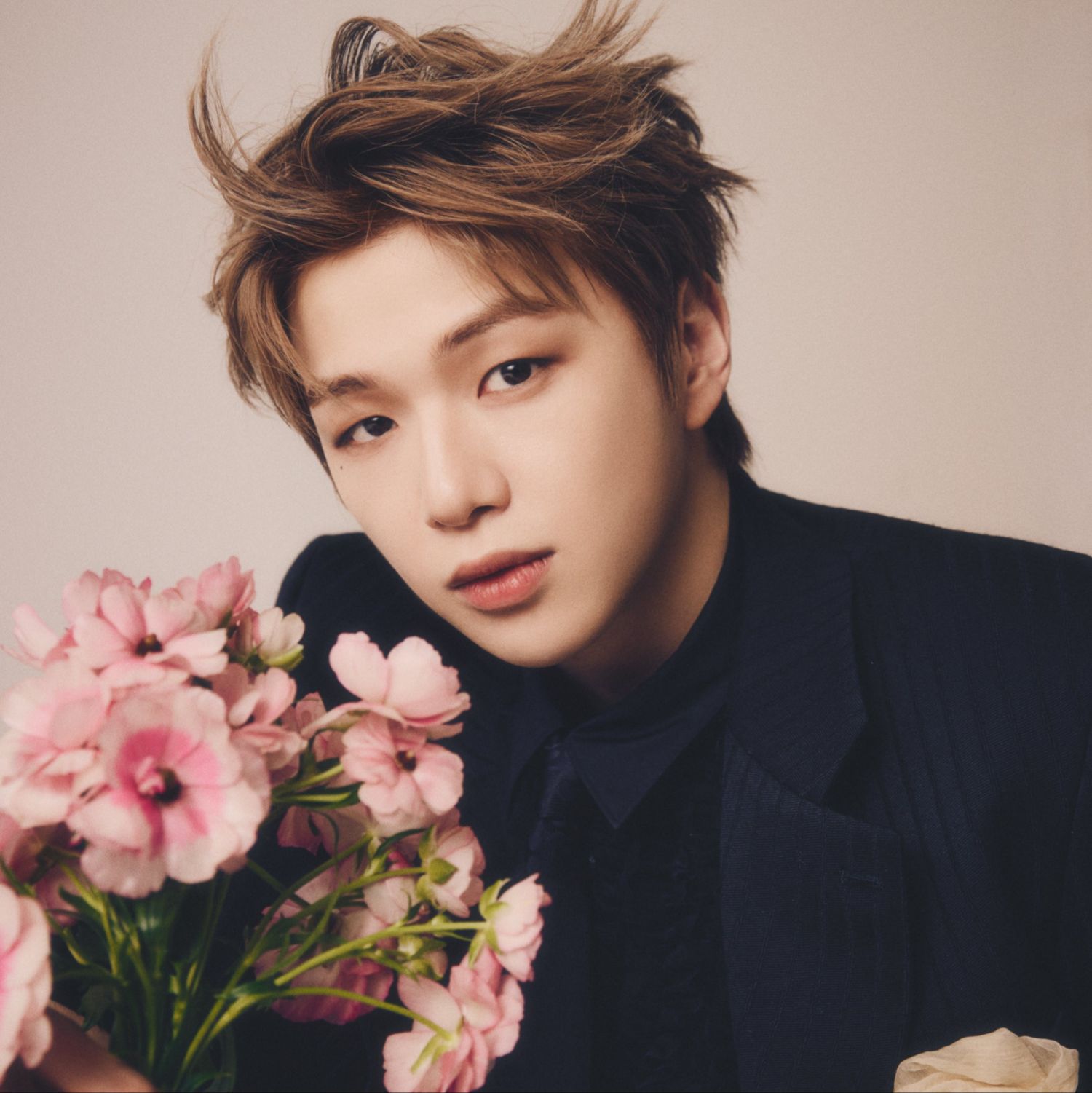 秘密の部屋の最近の活動ショット