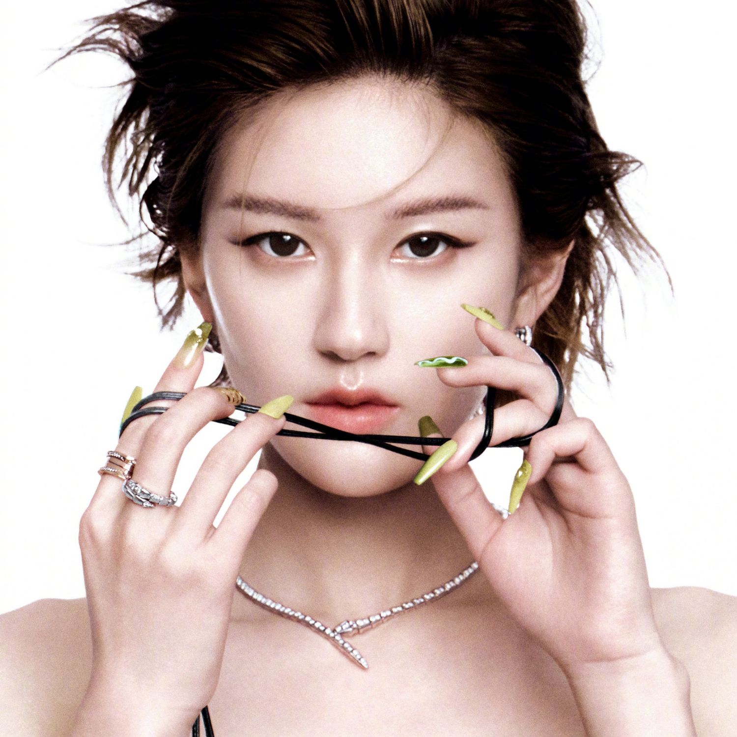 조로사 팬이 찍은 순간