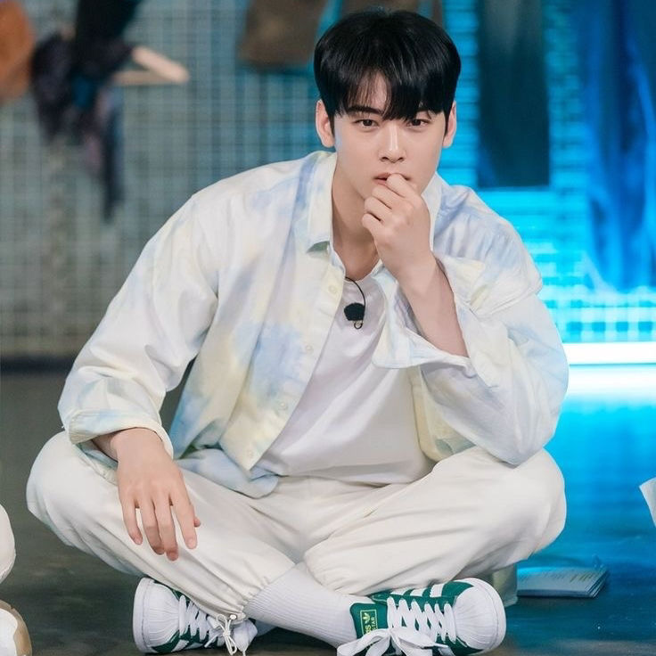 ファンが撮影したチャ・ウヌの瞬間