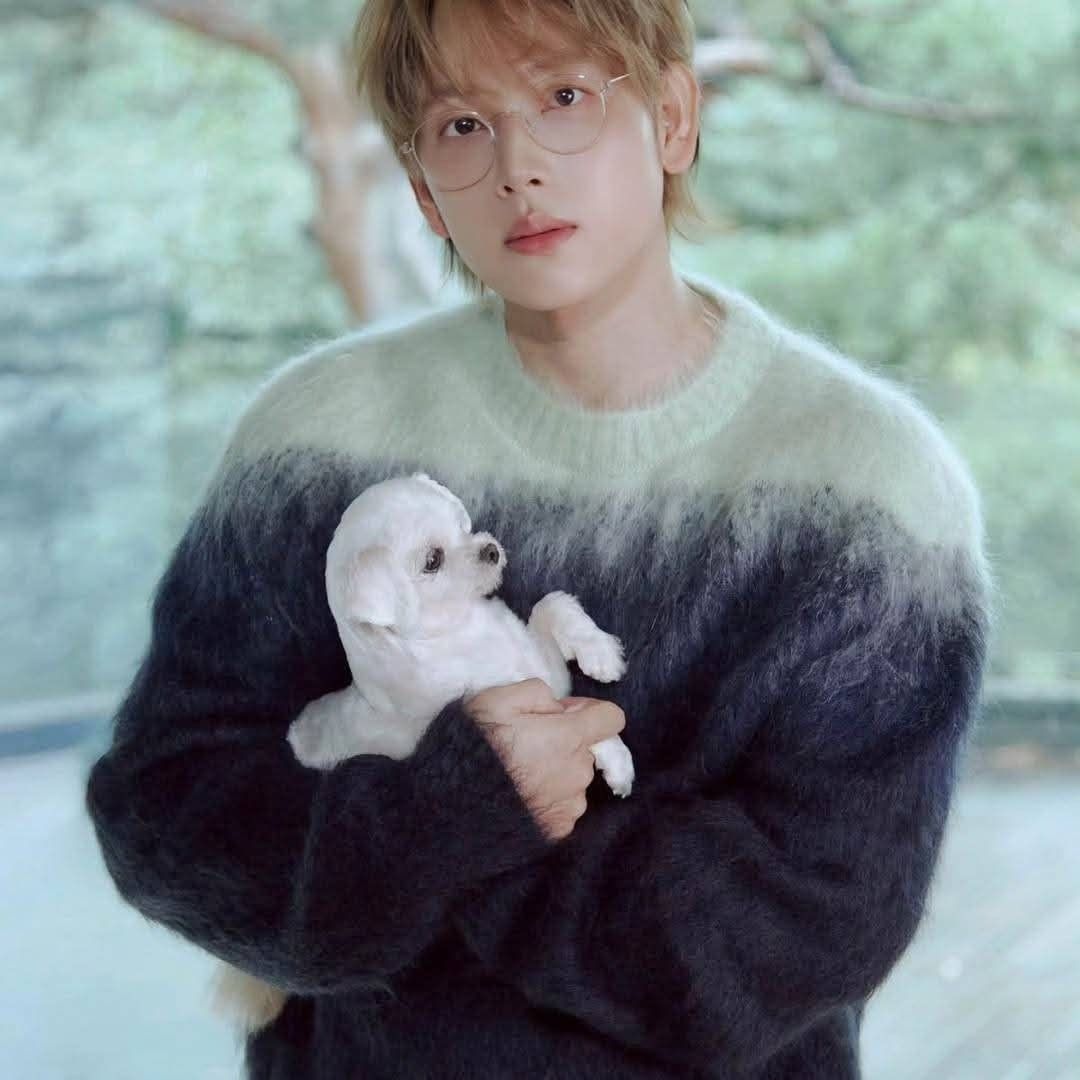 Latest photo of Yim Siwan