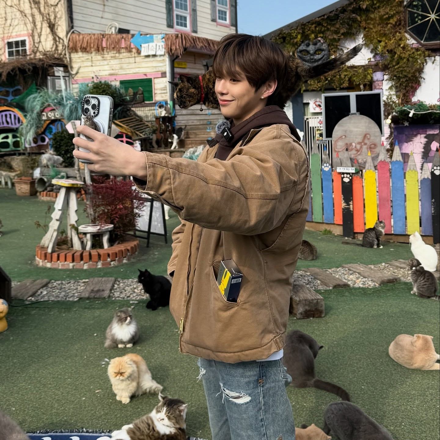 Recent activity shot of Secret Garden