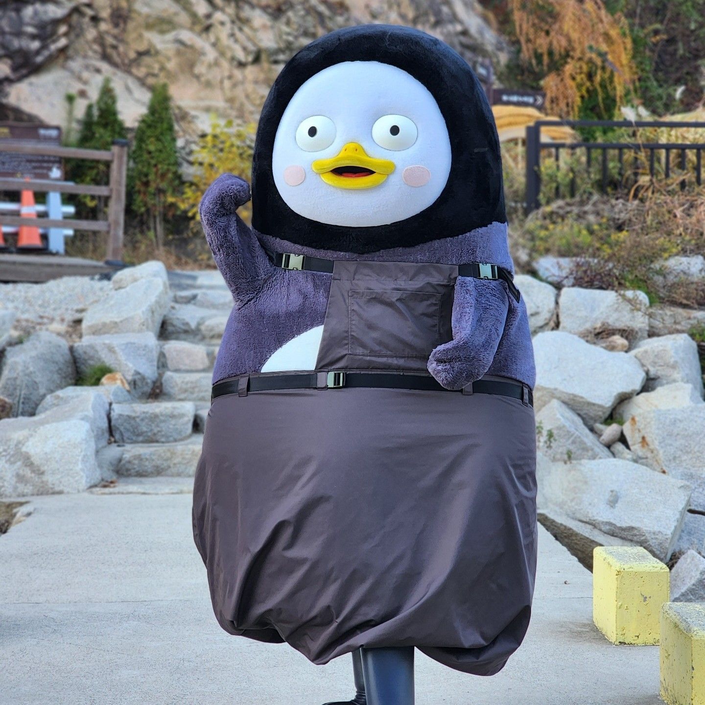 A moment captured by a fan of Pengsoo