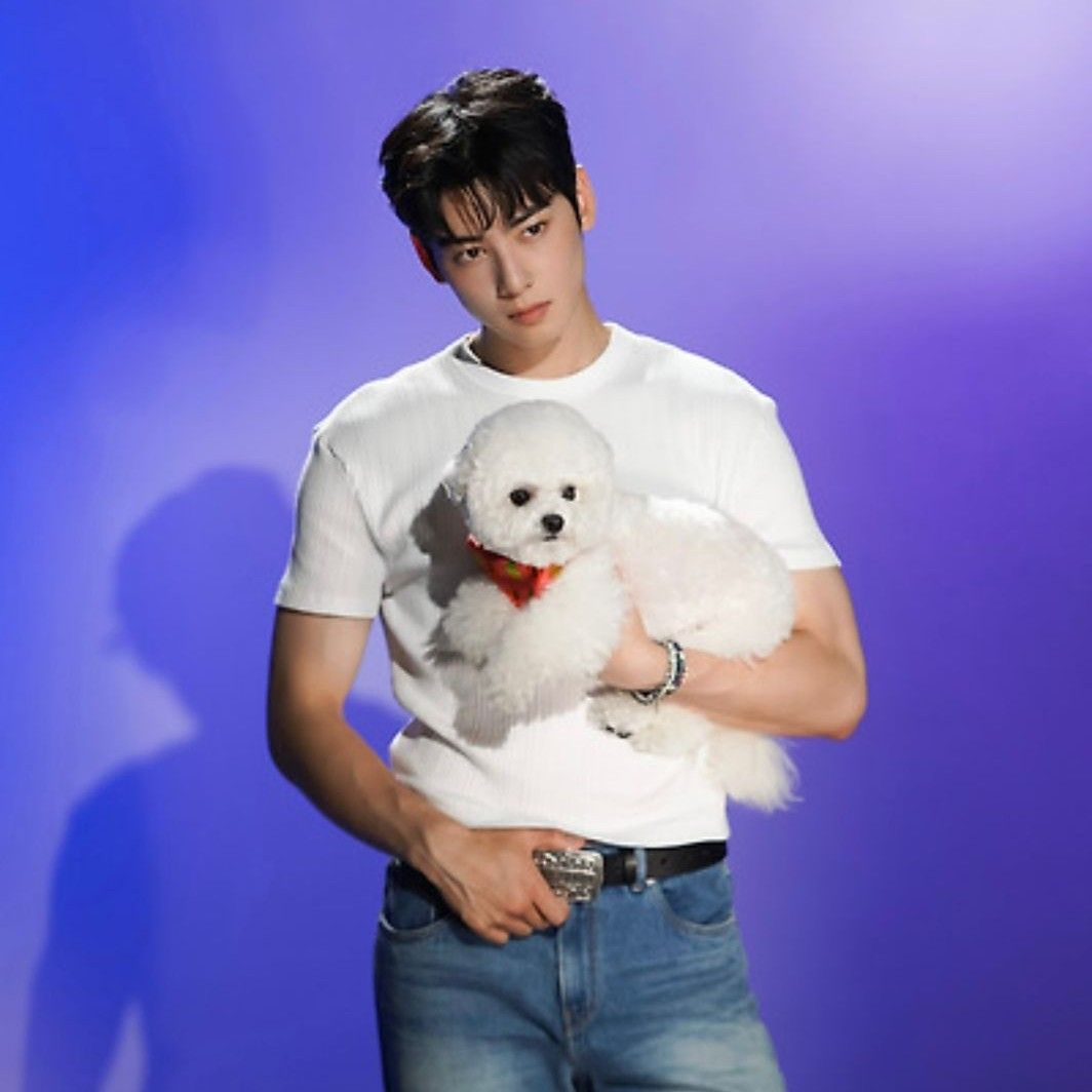 Board的最新照片