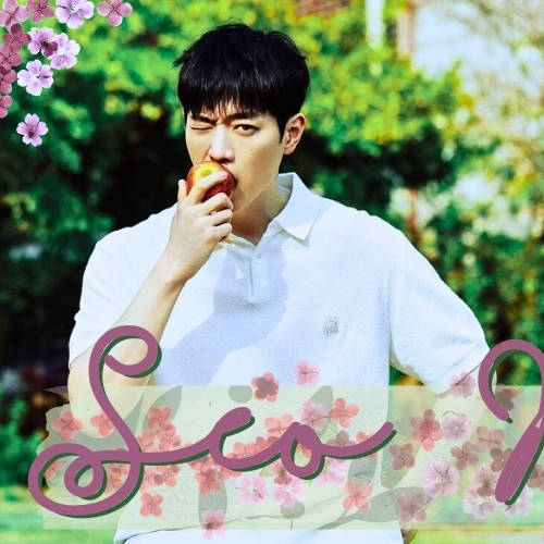 A moment captured by a fan of Seo Kangjoon