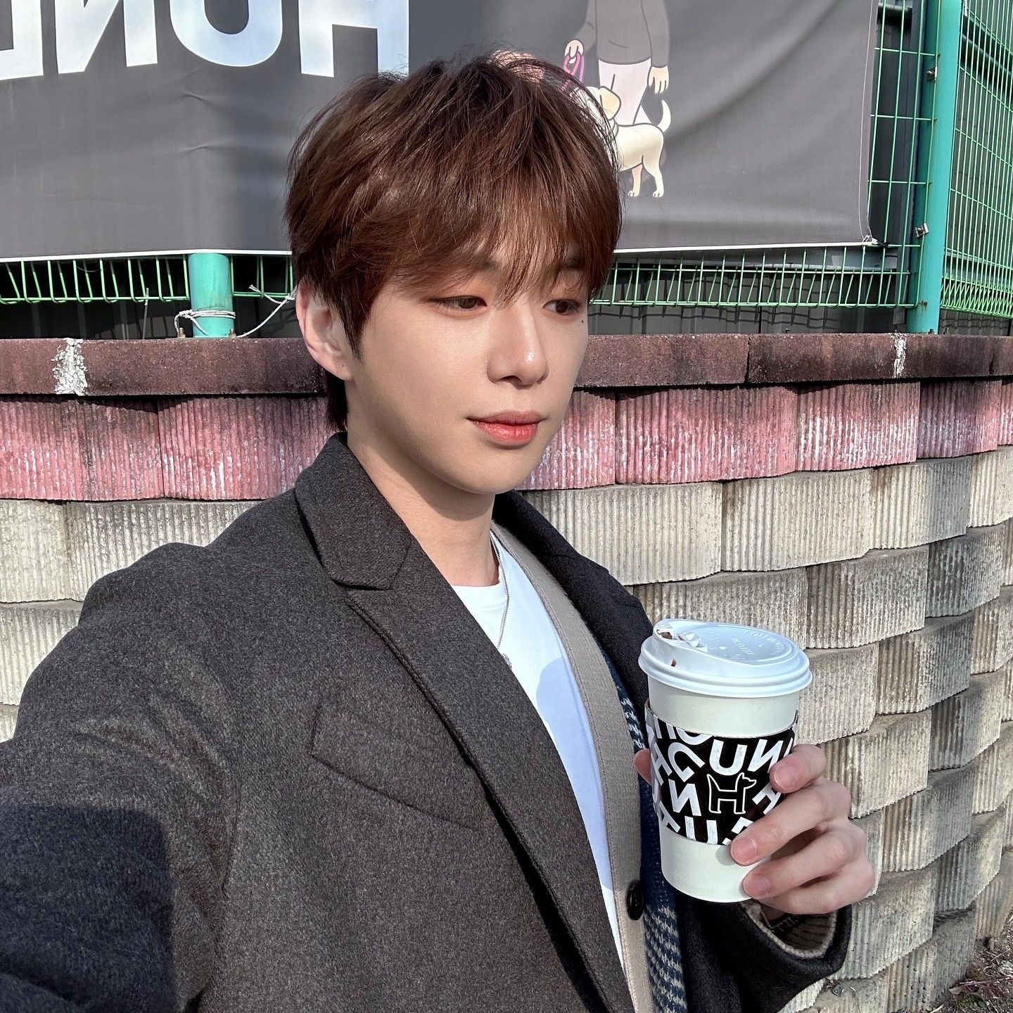 Recent activity shot of Secret Garden