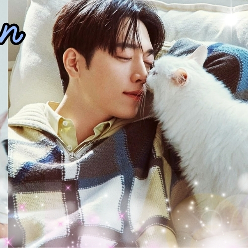 A moment captured by a fan of Seo Kangjoon