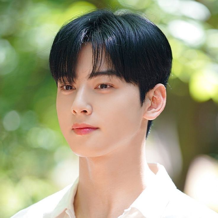 Behind-the-scenes cut of Cha Eunwoo