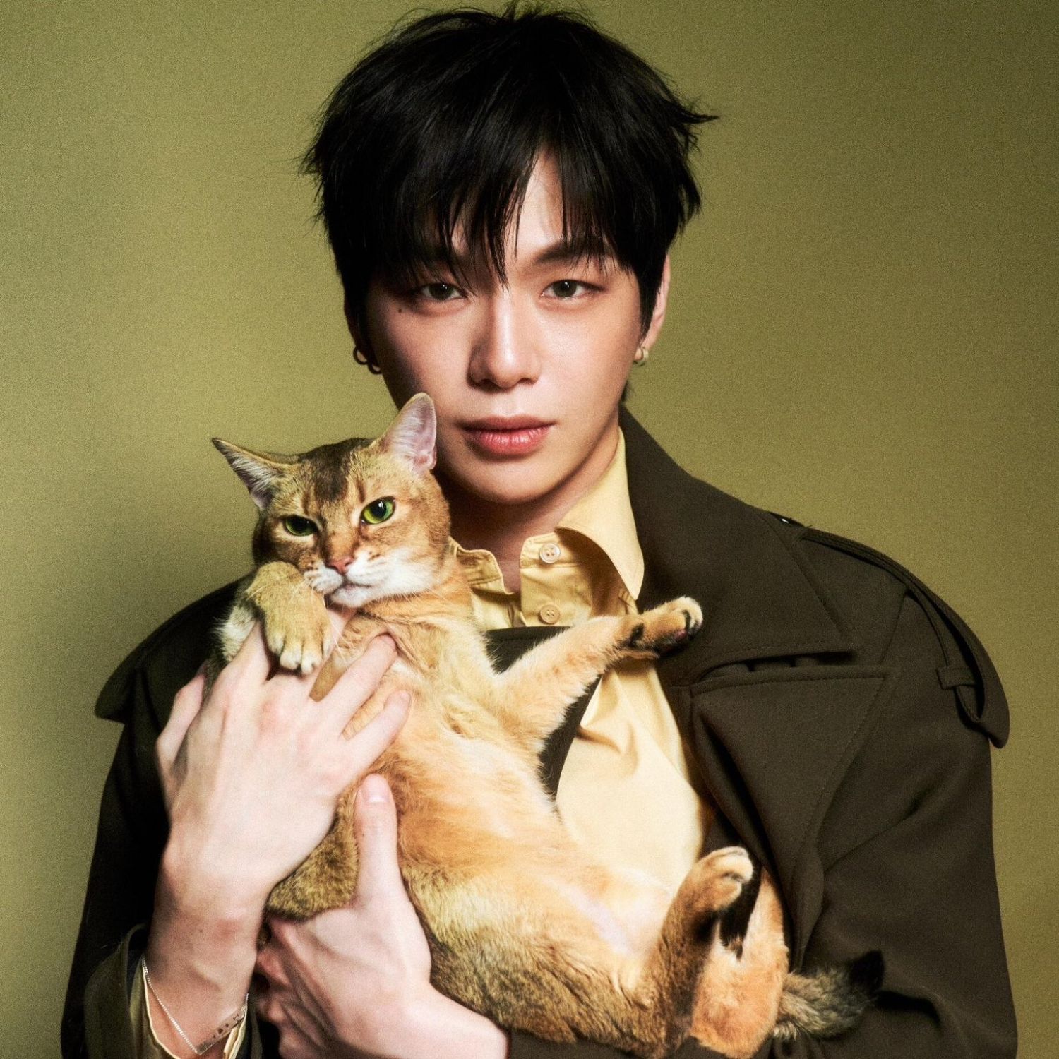 Latest photo of Secret Garden