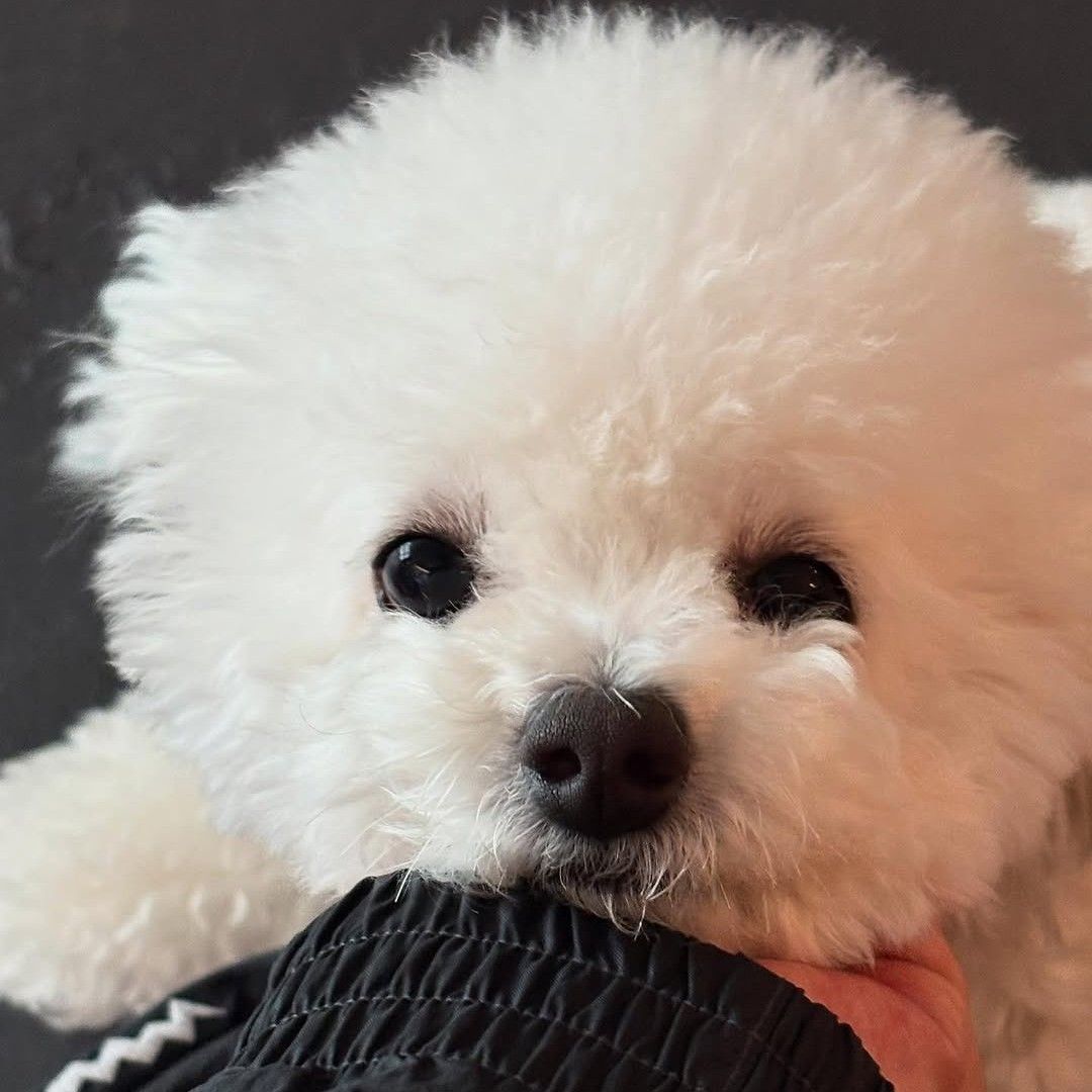 チョン・ドンウォンの最新写真