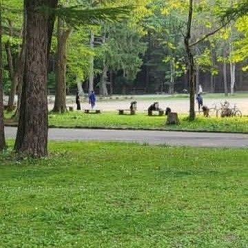 A moment captured by a fan of Jeon Somin