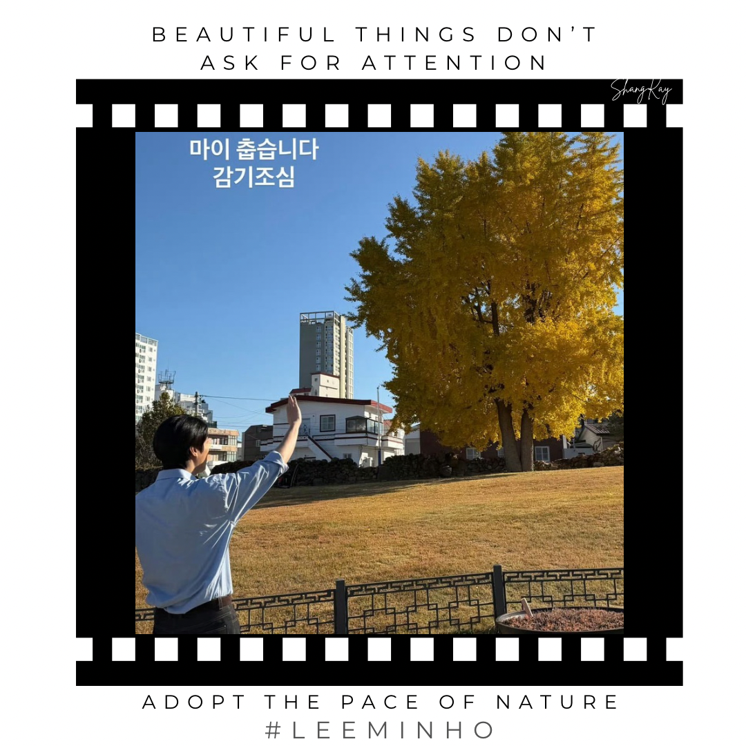 Latest photo of Lee Minho