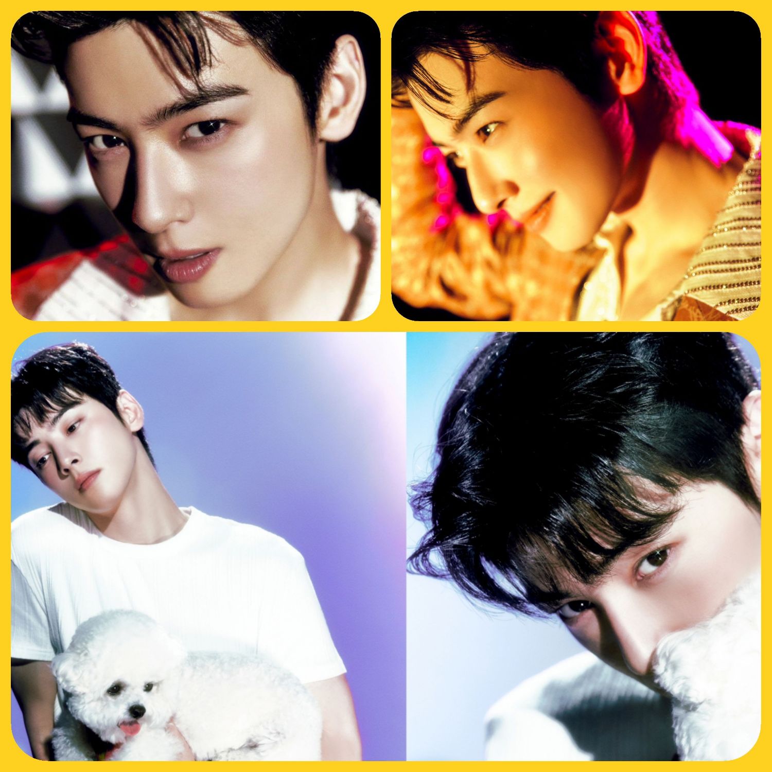 Behind-the-scenes cut of Cha Eunwoo