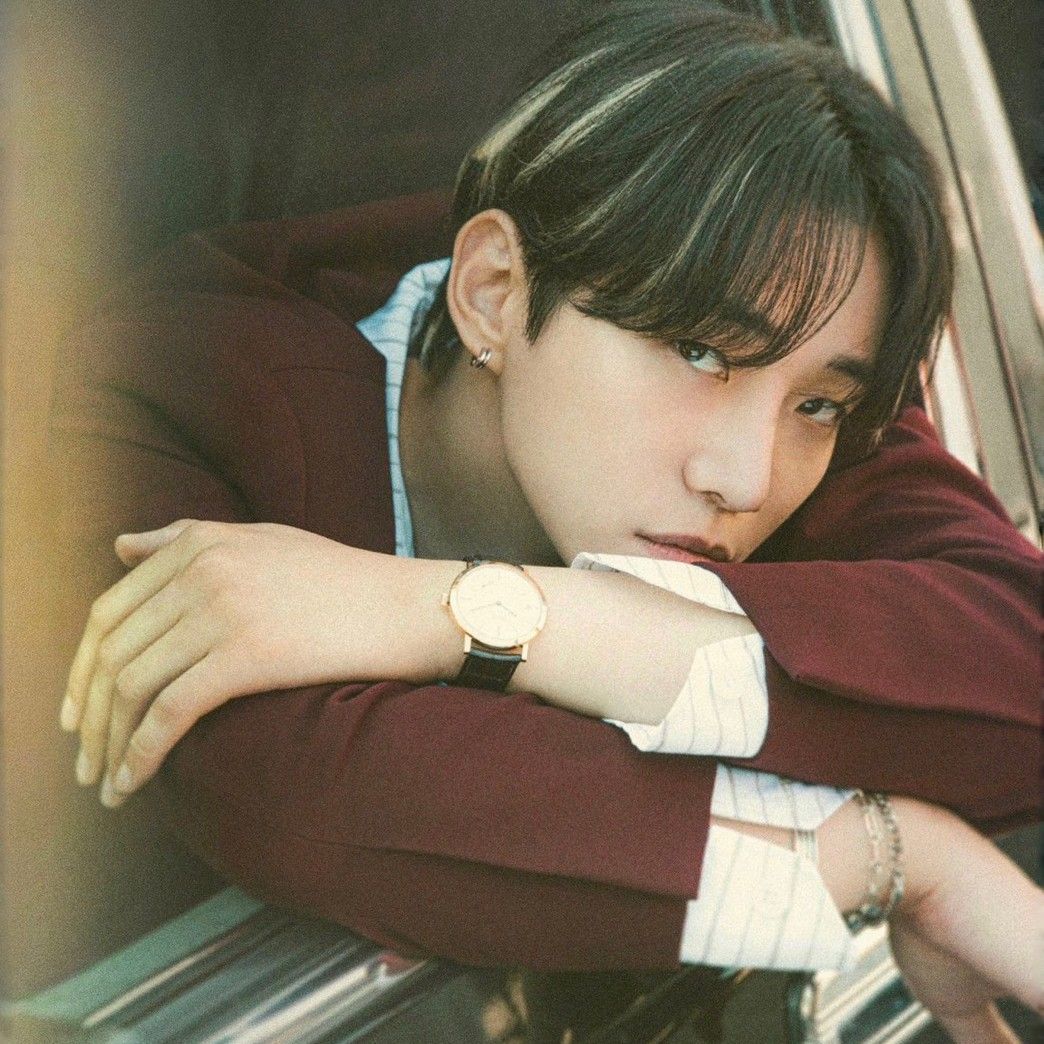 이준호 팬이 찍은 순간