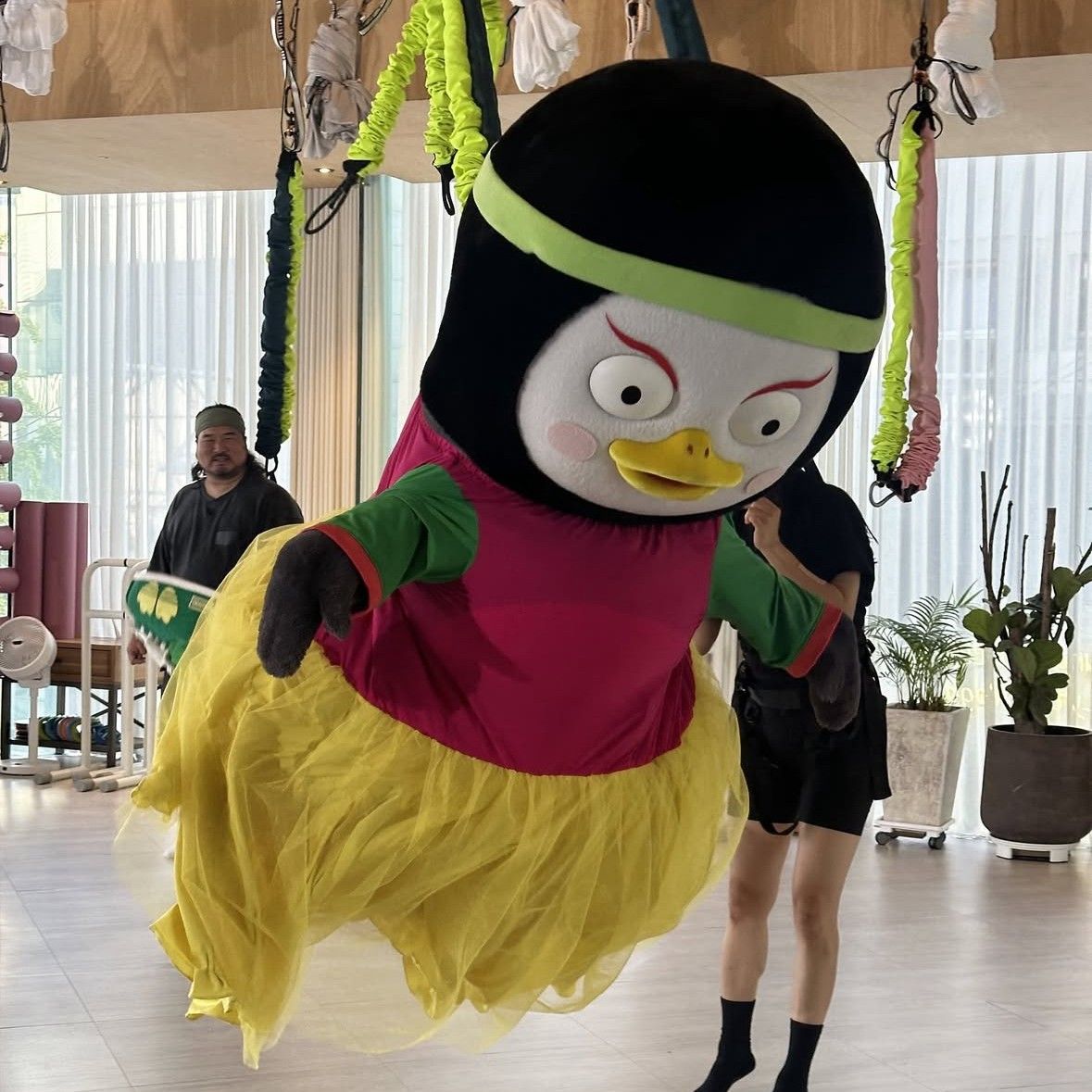 Latest photo of Pengsoo