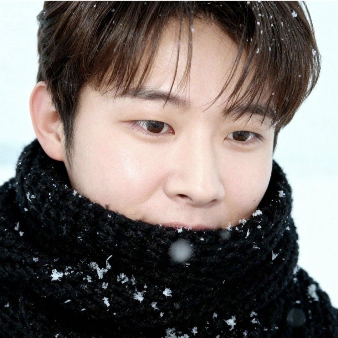 ジヌクの最近の活動ショット