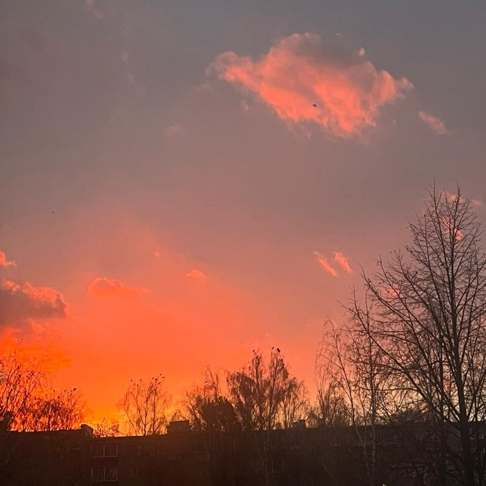 A moment captured by a fan of Cha Eunwoo