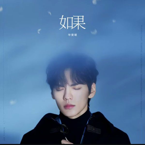 Top moment of Bi Wenjun selected by the fandom