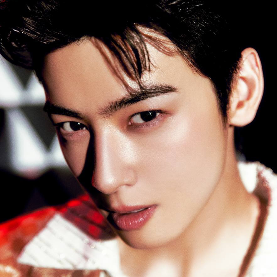 A moment captured by a fan of Cha Eunwoo