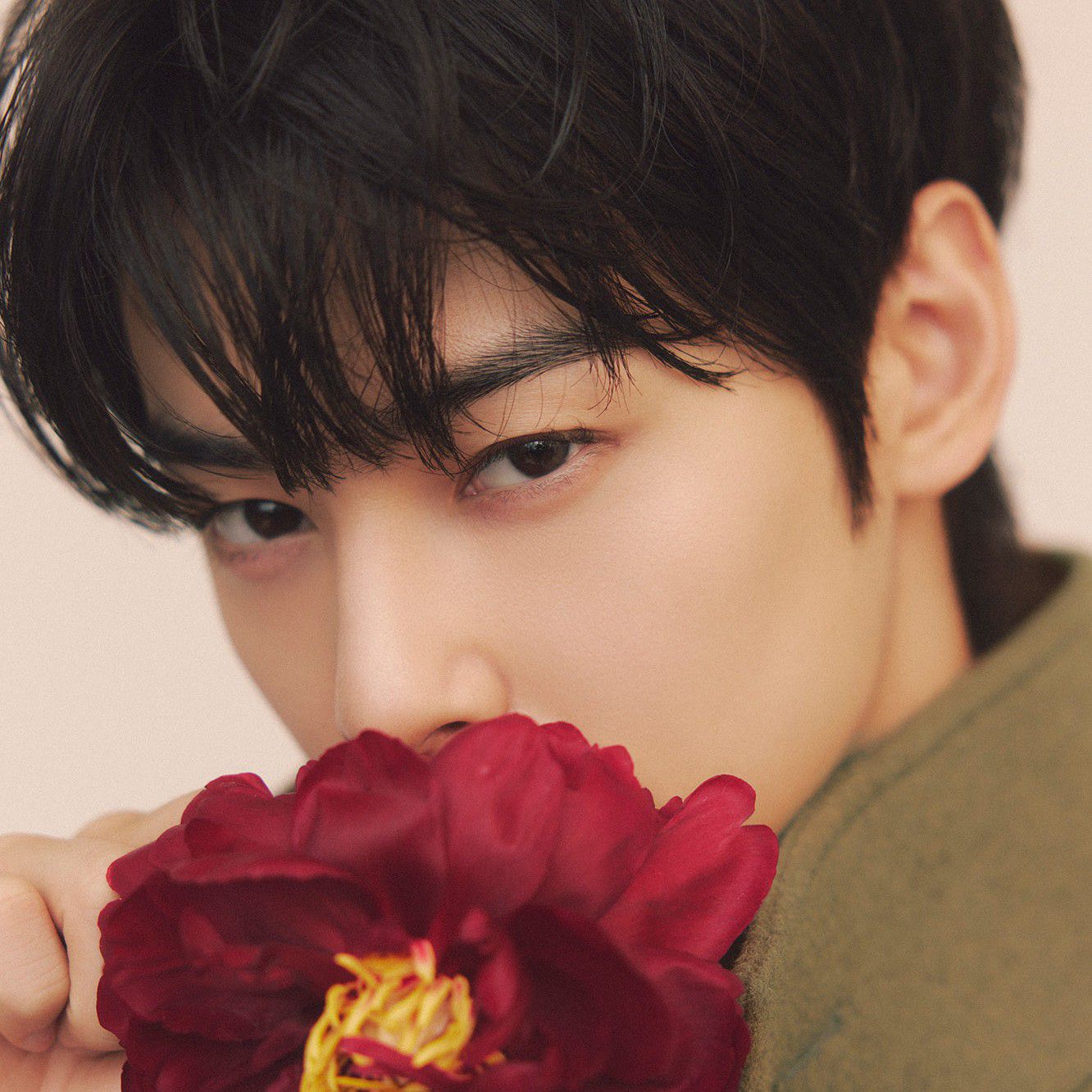 車銀優的最新照片