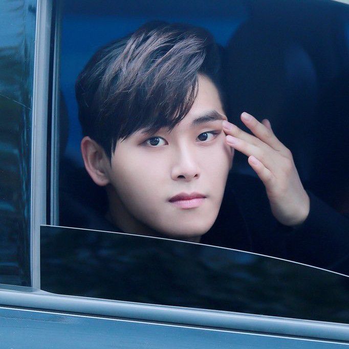 A moment captured by a fan of Hoya