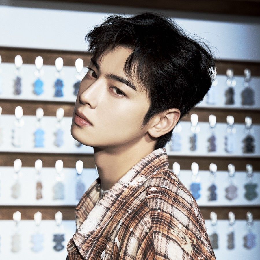 チャ・ウヌの最近の活動ショット